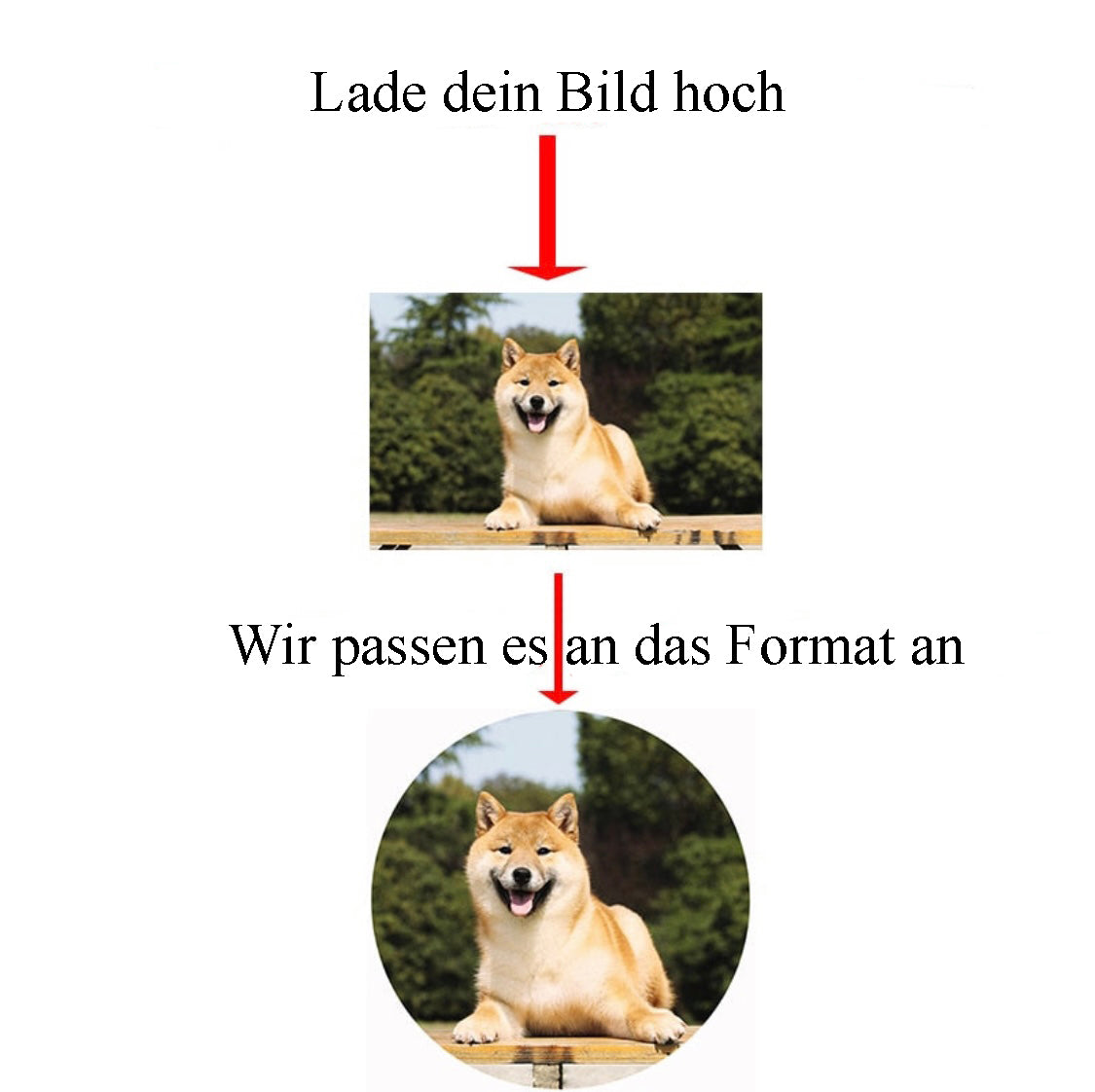 Anleitung